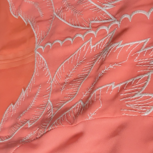 Ryu Coral lined sleeveless dress with mesh panels - Picture 14 of 16